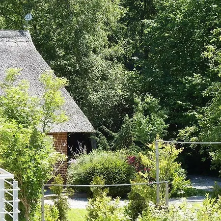 아파트 Wellenbreker-h 호바흐트